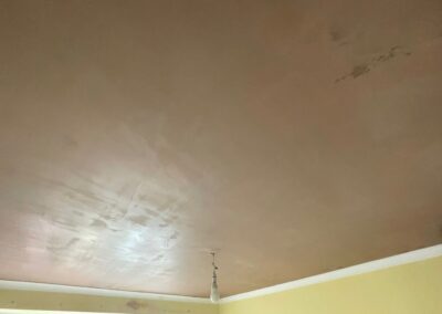 sdp plastering gallery 14